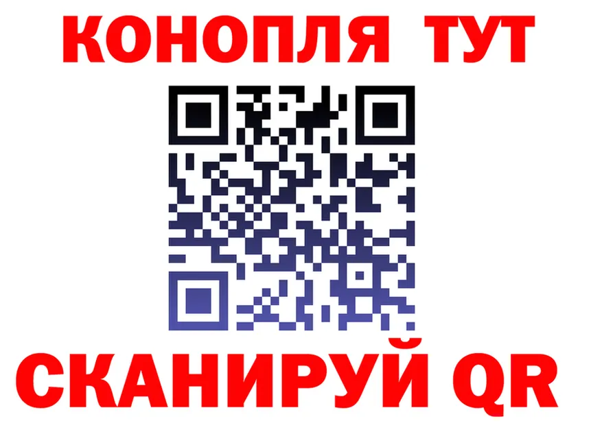 Альфа ПВП СК КРИС маркетплейс мориарти гидра Куйбышев