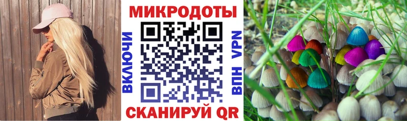 Псилоцибиновые грибы мицелий  Купить закладки  Куйбышев 