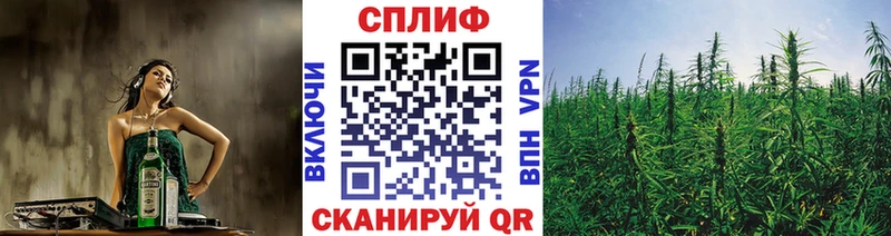 Купить закладки  Куйбышев  Бошки Шишки OG Kush 